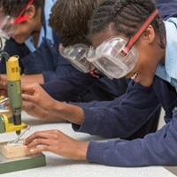 Primary CPD and INSET