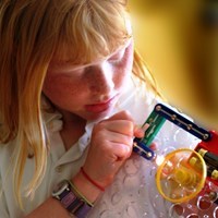 Primary curriculum
