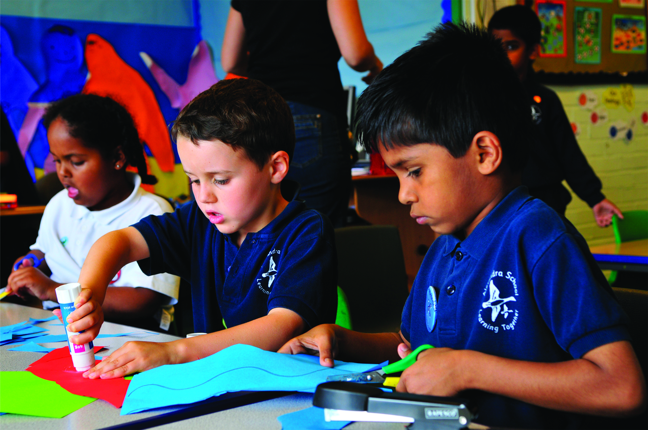 Primary Membership Options