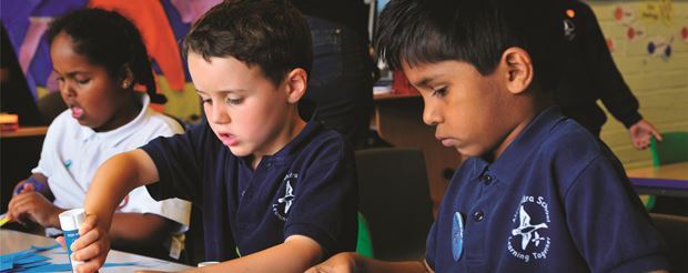 Primary Membership Options