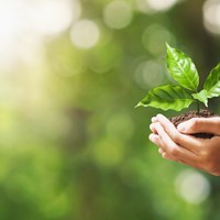 Sustainability in Industry