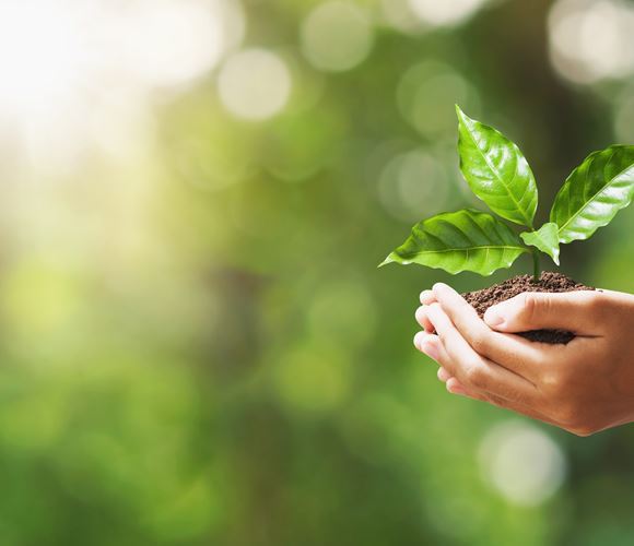 Sustainability in Industry: ECHO Brand Design