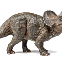 Dinosuit FTs and IEAs