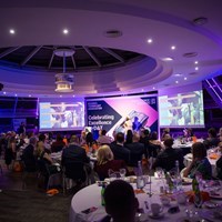 The Excellence Award for Outstanding Contribution to Research in D&T Education