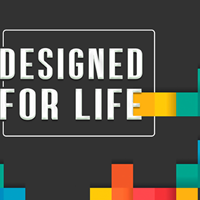 Designed for Life - 2024 Wrapped Compilation