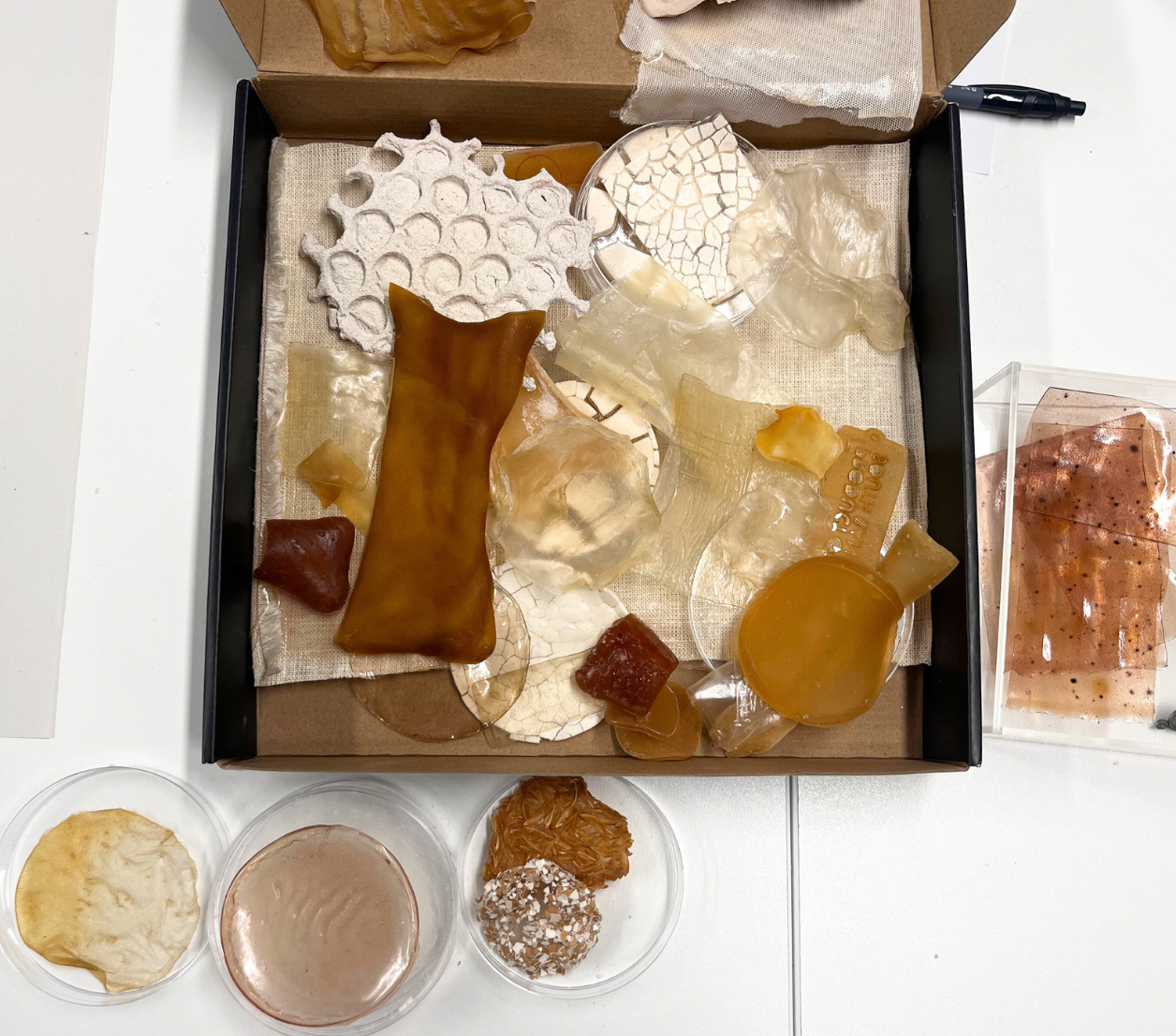 Umbraco.Web.PublishedCache.XmlPublishedCache.XmlPublishedProperty