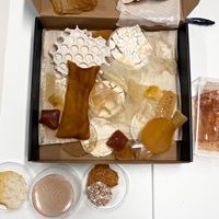 LSBU’s “Product of South Bank” Graduate Showcase