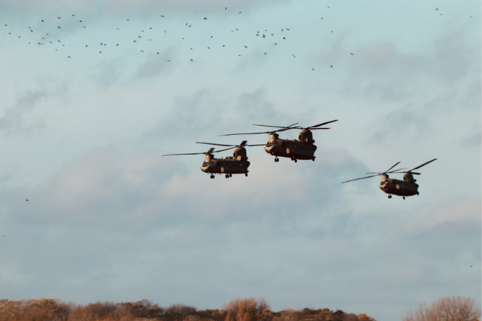 Chinook