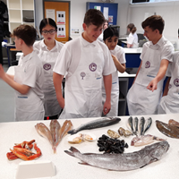 Teacher Toolkit Tuesday FISH Heroes