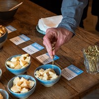 Belazu FT's and IEA's