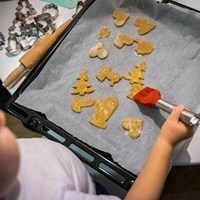 Food Safety