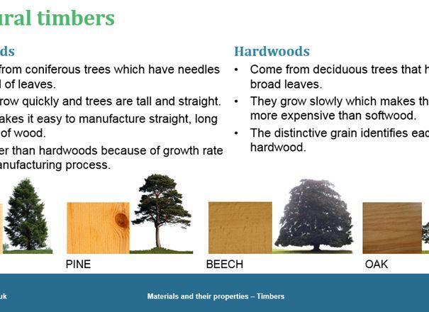Materials and their properties - Timbers, GCSE classroom teaching resource