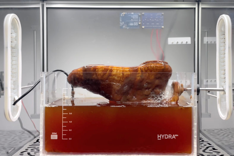 3D Biomaterial Growth