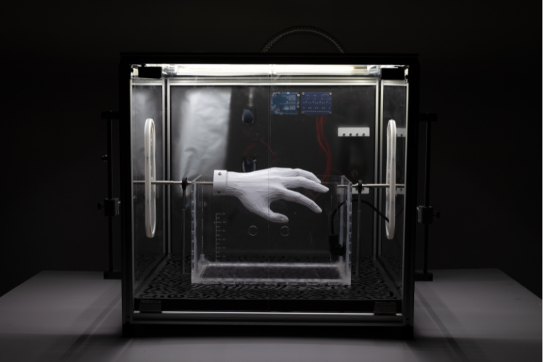 3D Biomaterial Growth