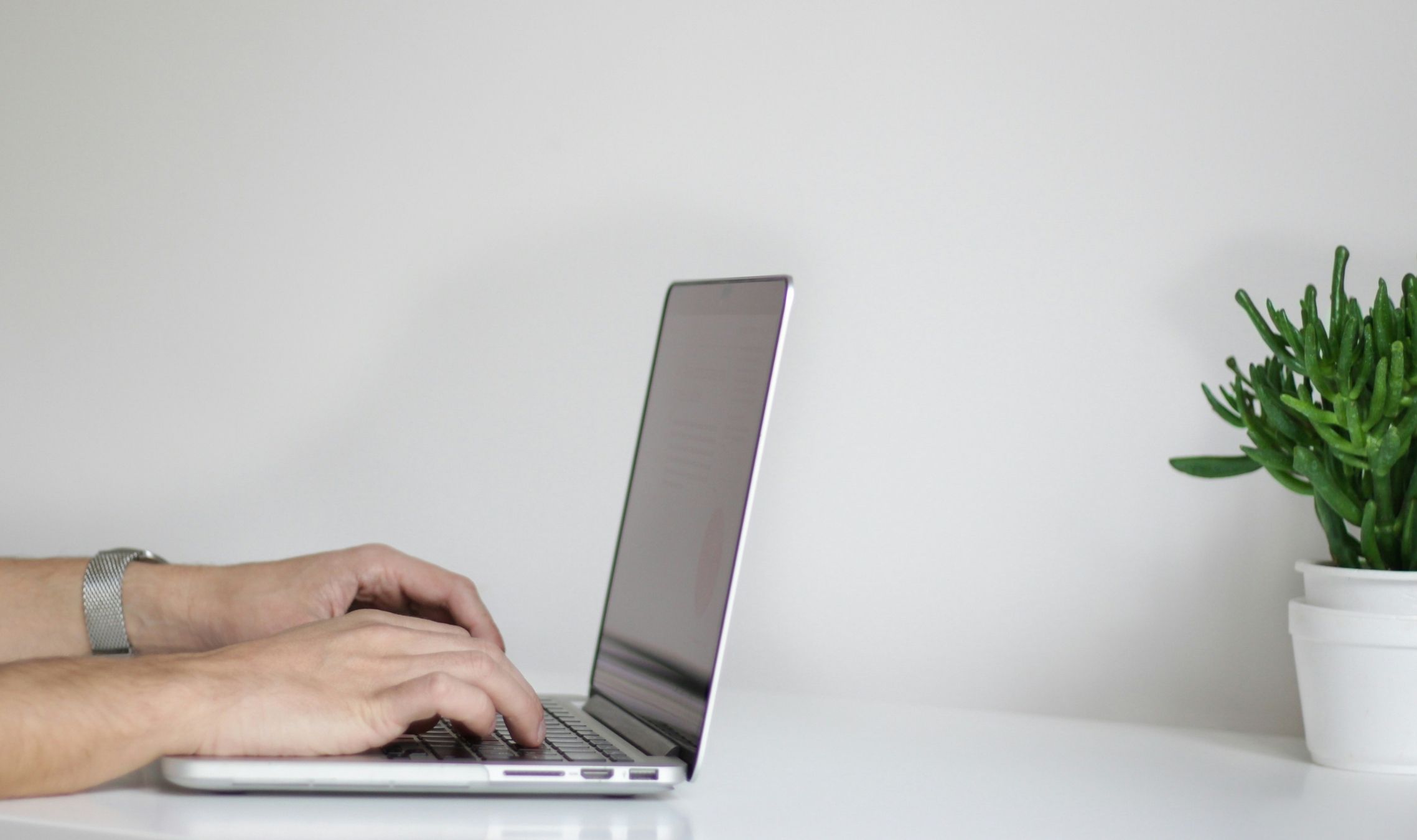 Hands typing on a laptop on a white desk beside a small potted plant.