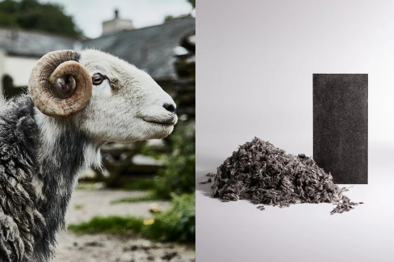 Rethinking wool