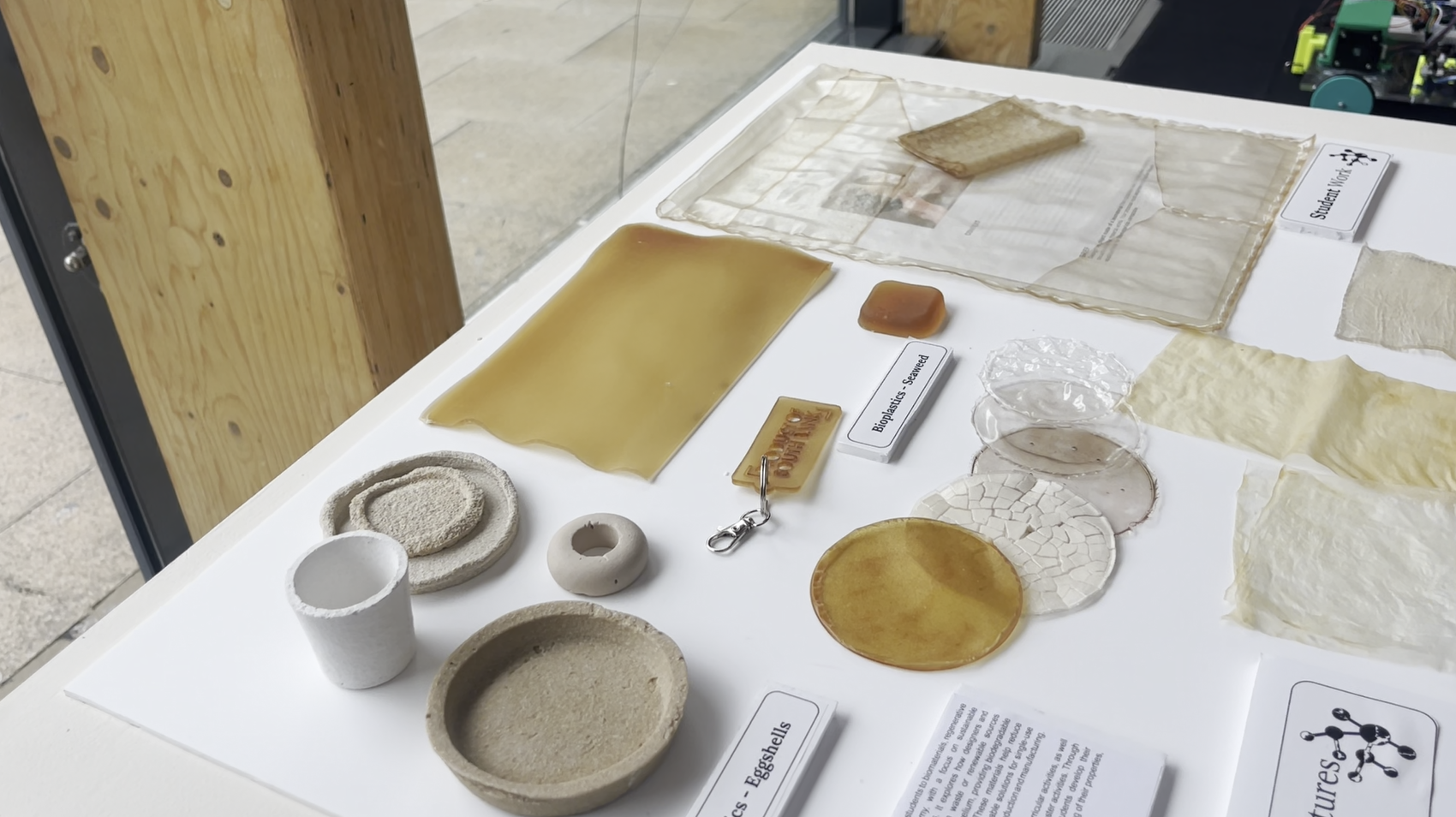 Display table showing experimental sustainable materials and bioplastics made from natural sources, including translucent sheets, moulded samples and biodegradable products derived from eggshells and other organic materials.