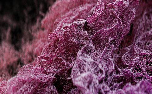 Close-up abstract image of textured bio-inspired textile material in shades of purple.