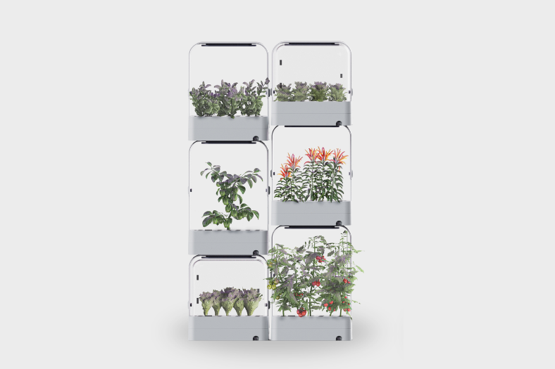 TetraGrow